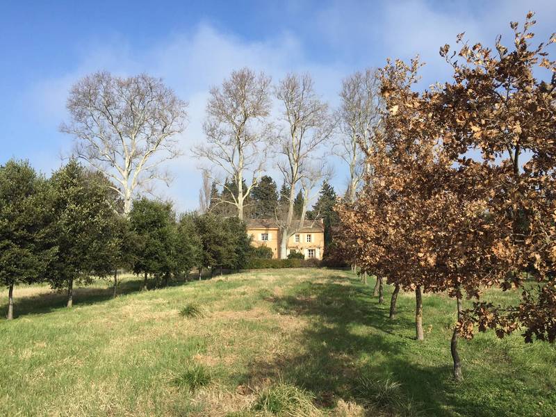 A vendre dans les Alpilles mas restauré et sa truffière